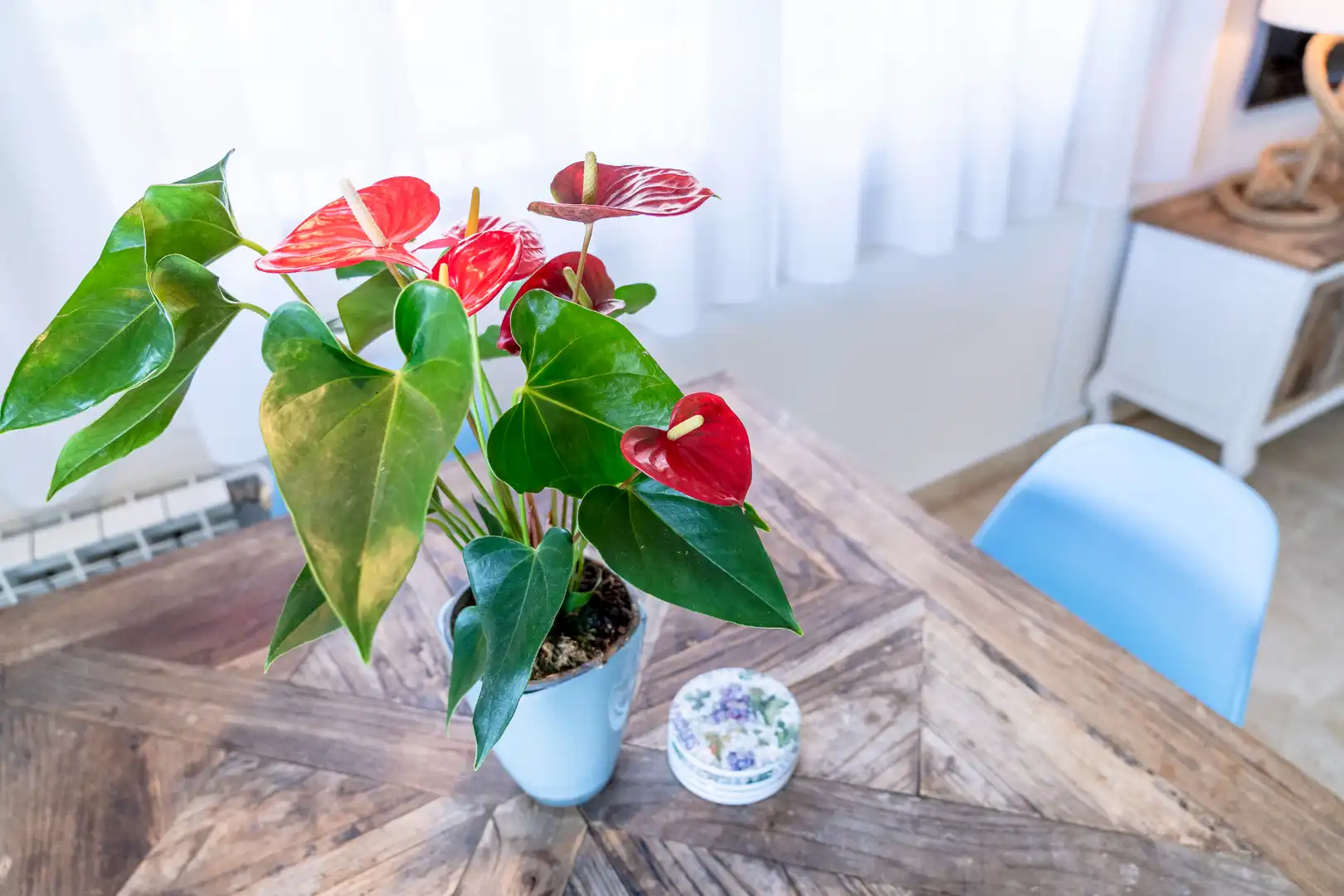 Garden of Detached homes for sale in Cambrils  with Air Conditioner, Heating and Private garden