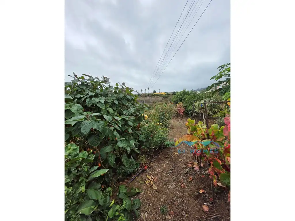Houses for sale in La Orotava