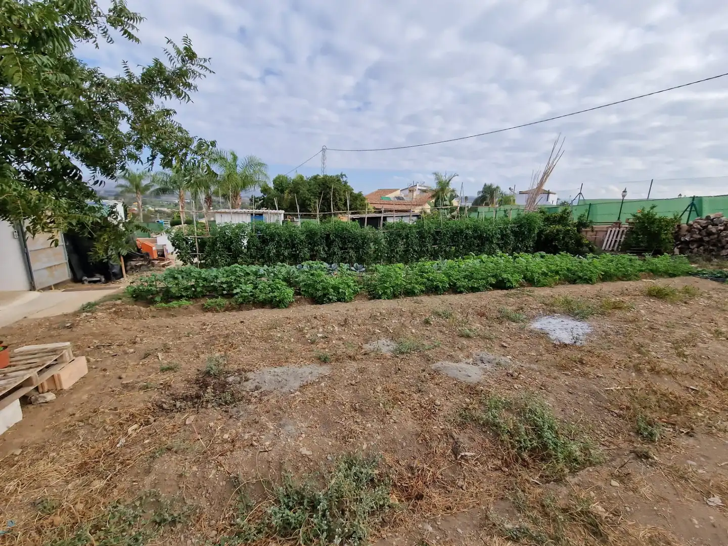 Terreno rustico in vendita a El Romeral - Peñón de Zapata, imagen 38