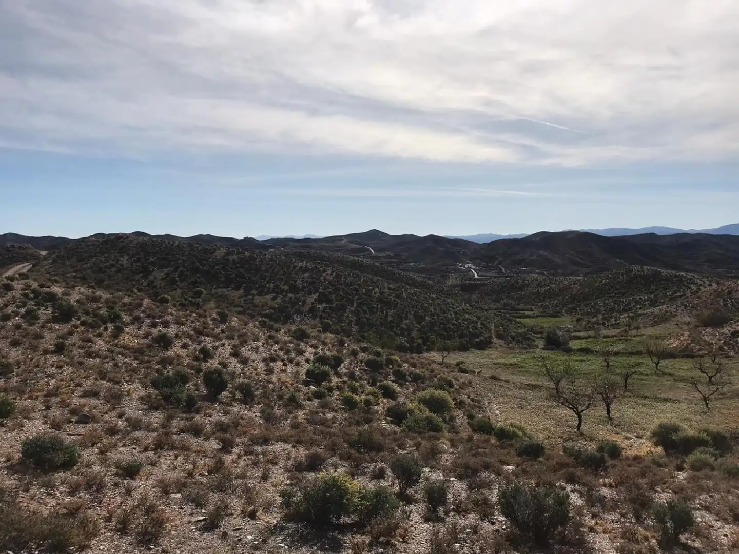 Industrial land for sale in Albox