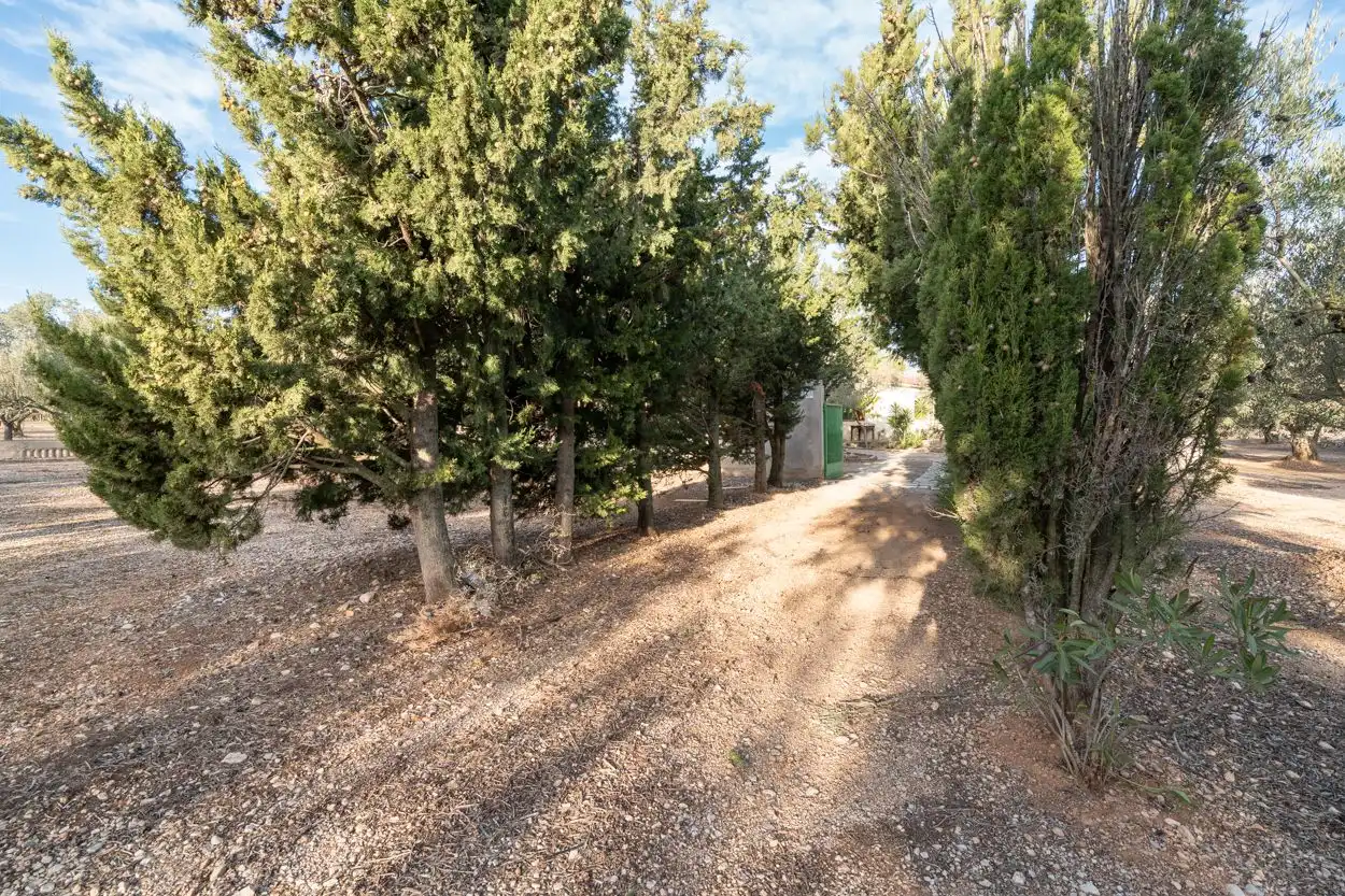 Detached house for sale in Carrer Diego de León 39, imagen 19