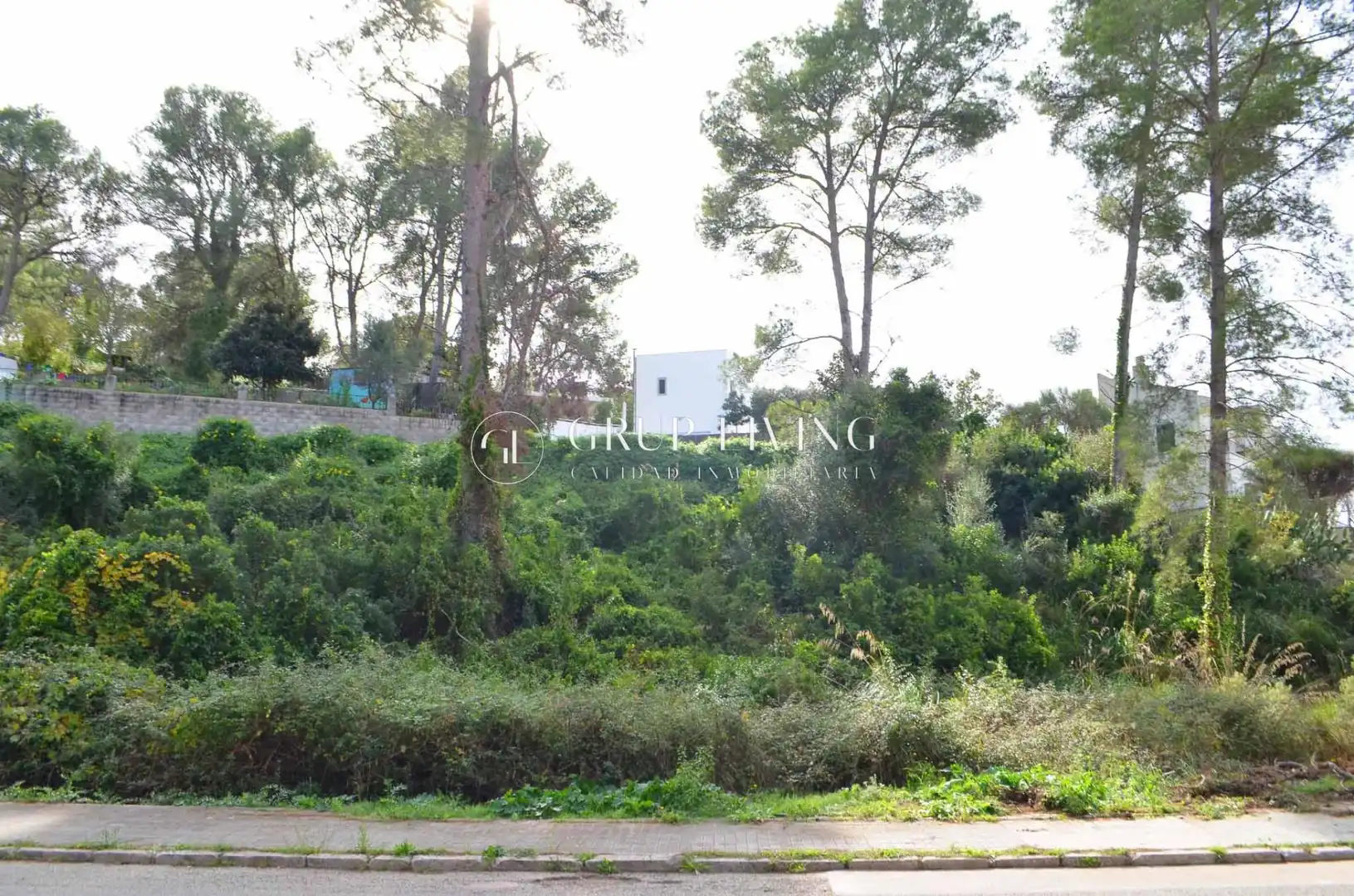 Terreny residencial en venda a Olivella, imagen 6
