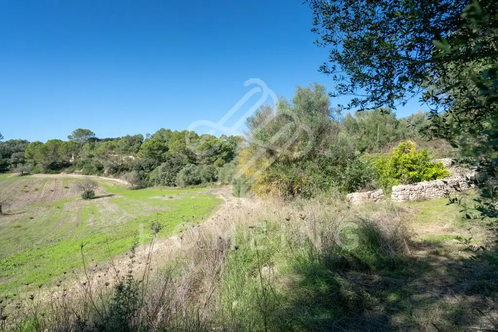 Country house with garden for sale in Costitx, imagen 18
