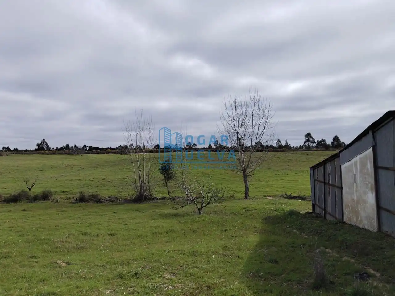 Finca rústica en venda en Bollullos Par del Condado amb Terrassa