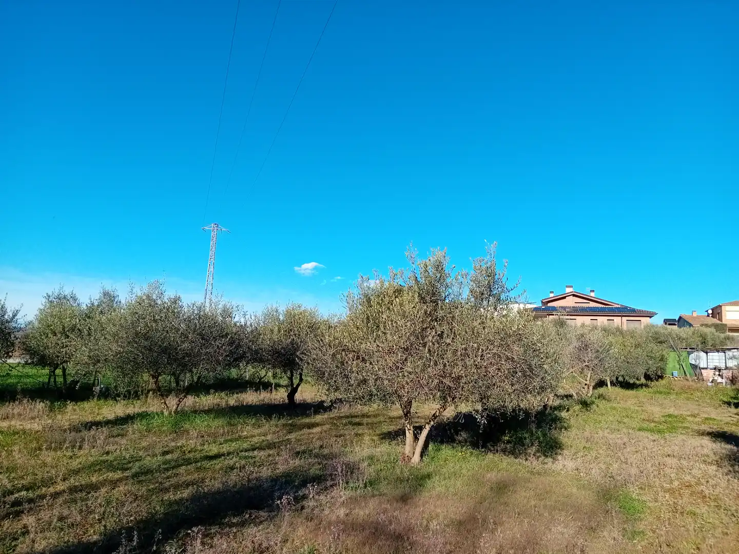 Terreny rústic en venda a Carrer de l'Estació, imagen 9
