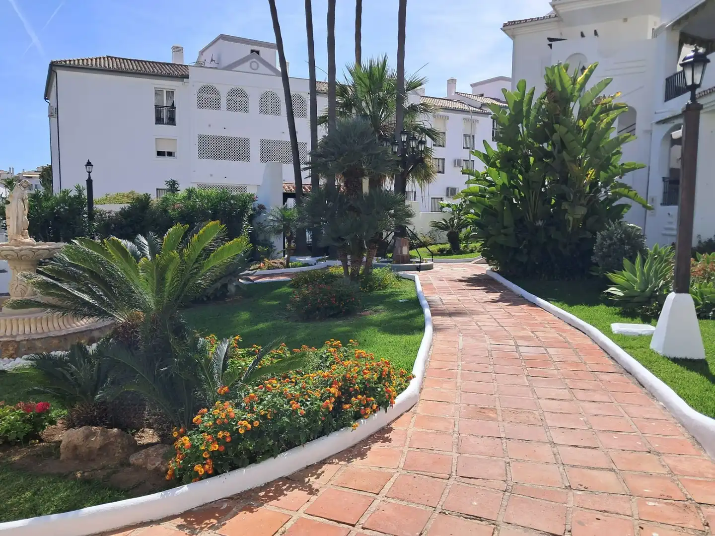 Appartement compact avec piscine à vendre à Albatros 16, imagen 17