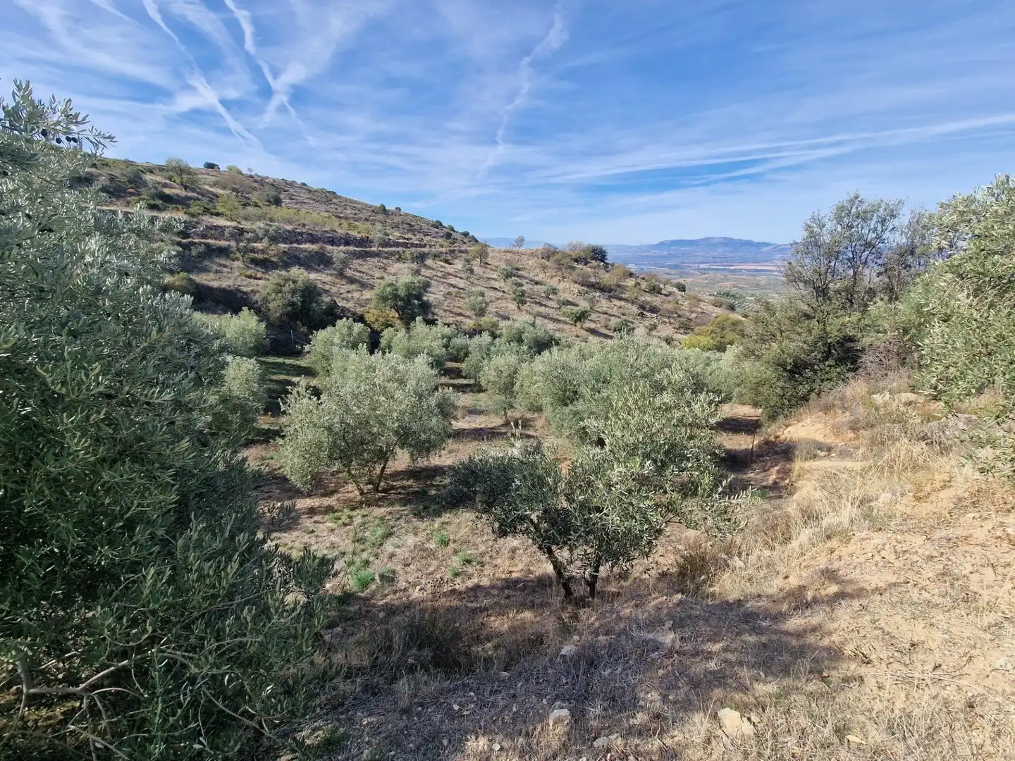 Maison rustique avec jardin à vendre à Cogollos de la Vega, imagen 65