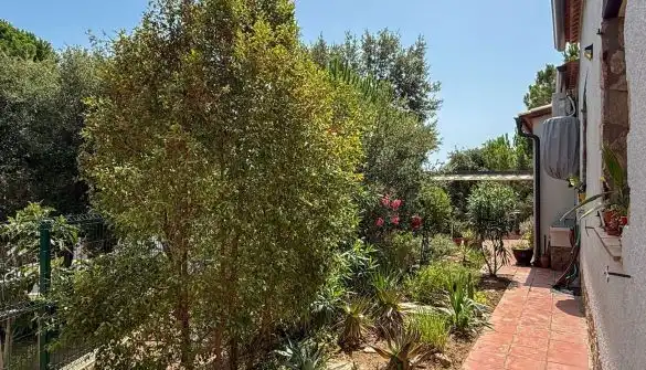 Haus mit Garten zum Verkauf in Mas Pere - Río de Oro, imagen 41