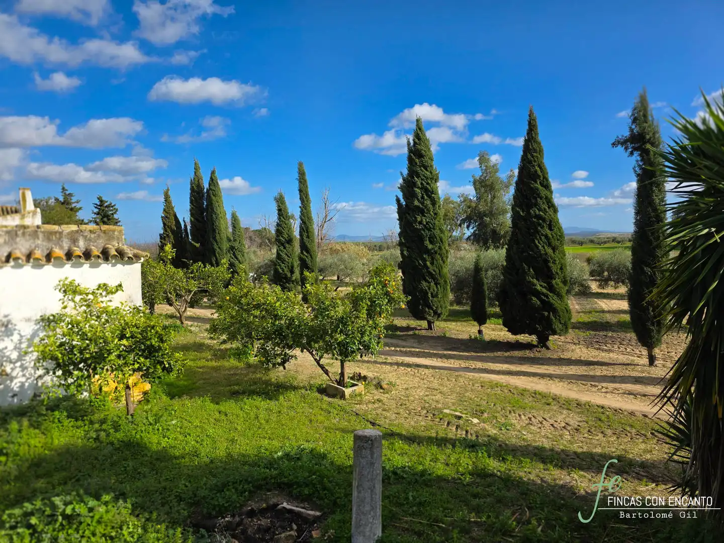 Garden of Country homes for sale in Marchena  with Swimming Pool and Alarm