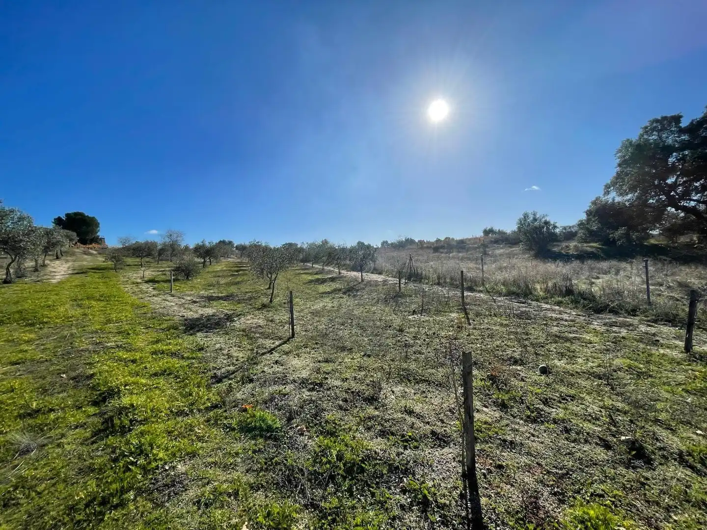 Casa o chalet en venta en Arroyo de la Luz con Amueblado