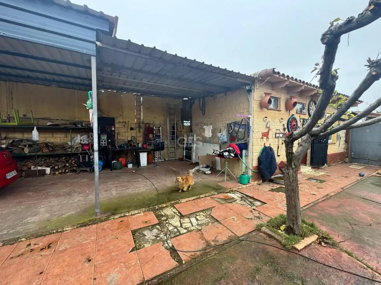 Vista exterior de Casa o chalet en venta en Onzonilla con Calefacción y Jardín privado