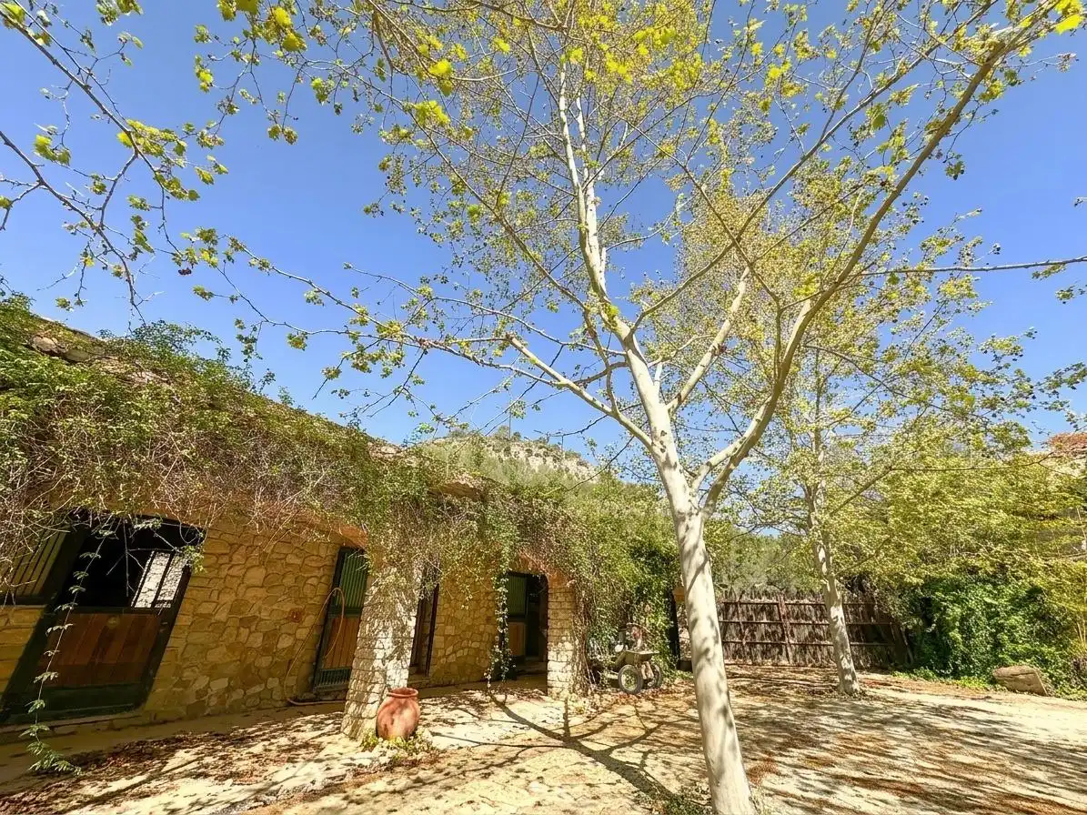 Casa rustica con piscina in vendita a Llíber, imagen 49