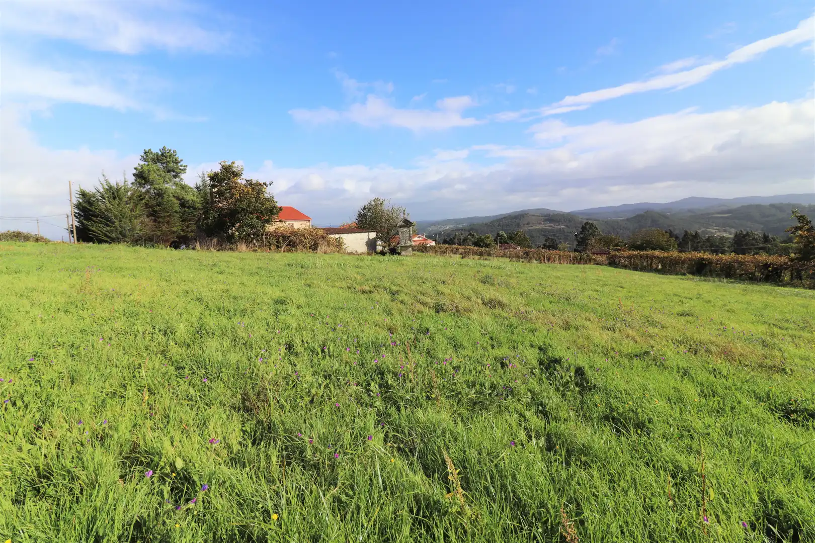 Maison avec jardin à vendre à CP-2017 14, imagen 6