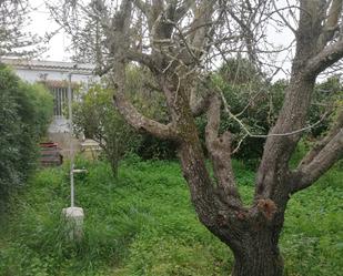 Jardí de Finca rústica en venda en Conil de la Frontera amb Traster