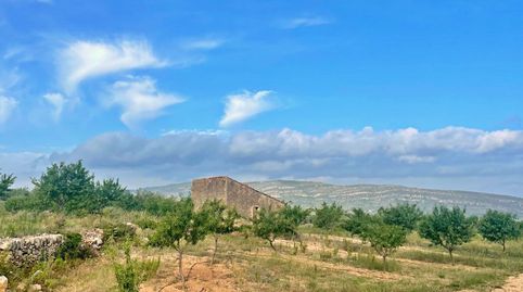 Finca Rúst. en venta en Freginals., imagen 5