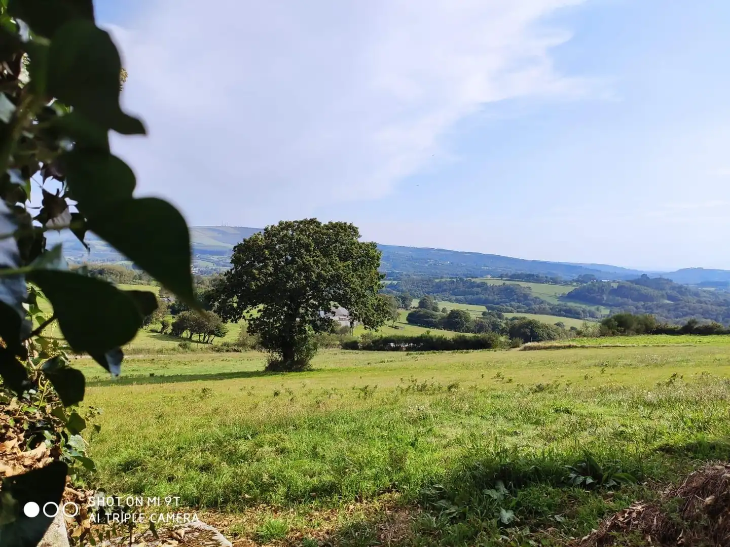 Finca rústica en venda en Abadín