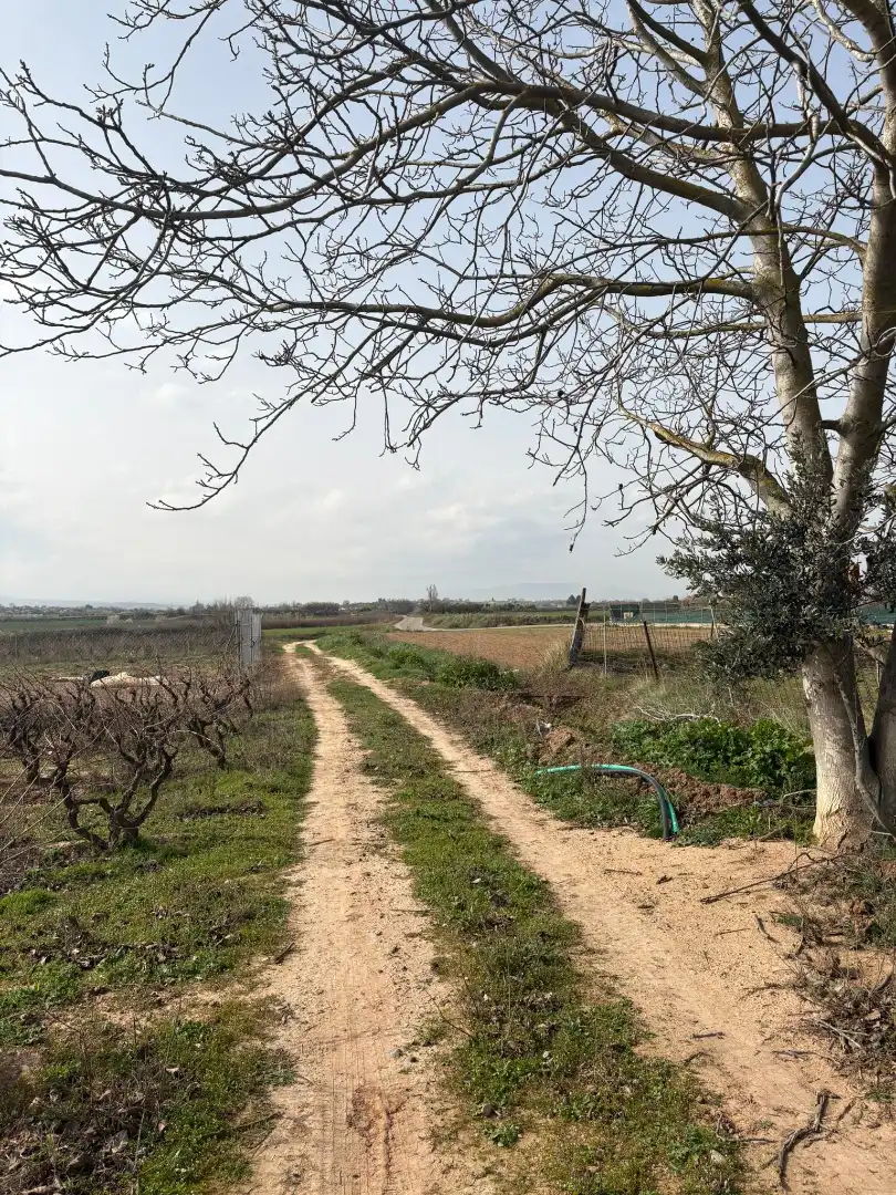 Rural land for sale in Villamediana de Iregua, imagen 8