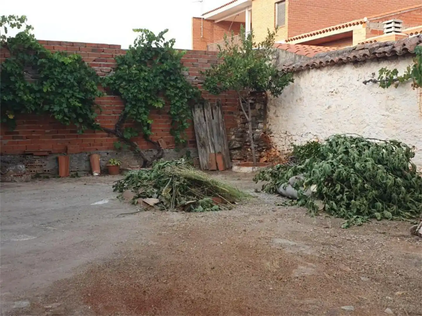 Jardí de Casa adosada en venda en Los Navalmorales