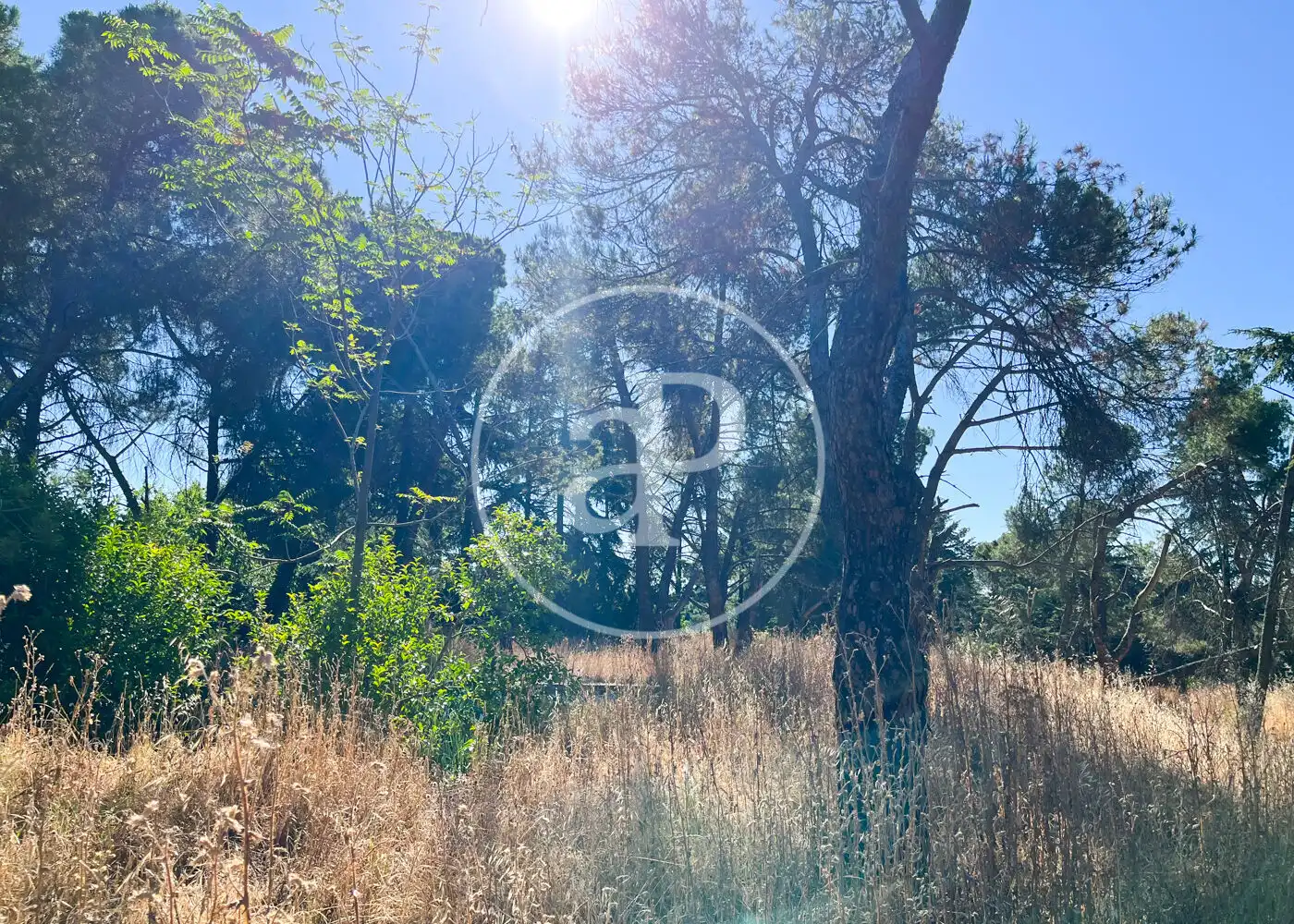 Residential land for sale in Moncloa - Aravaca, imagen 2