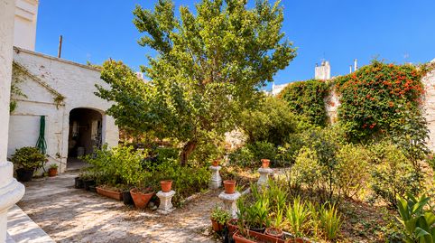 Foto 2 de Casa o xalet en venda a Molí des Pla - Andrea Doria, Maó - Mahón