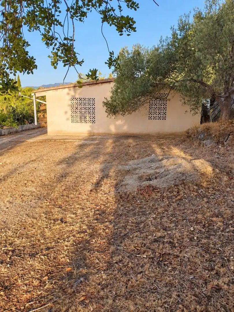 Terreno rústico en venta en Bunyola, imagen 2