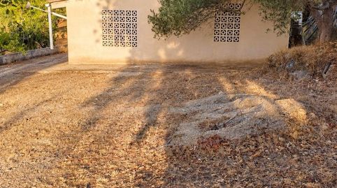 Finca rústica en Bunyola con caseta de aperos y más de 13.000 m2 de terreno, immagine 2