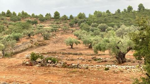 Photo 4 of Residential for sale in Villafames, Vilafamés, Castellón