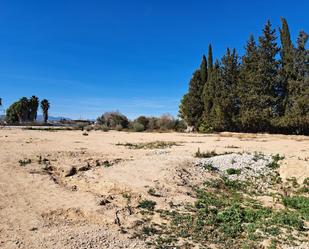 Finca rústica en venda en Molina de Segura amb Aire condicionat, Terrassa i Piscina