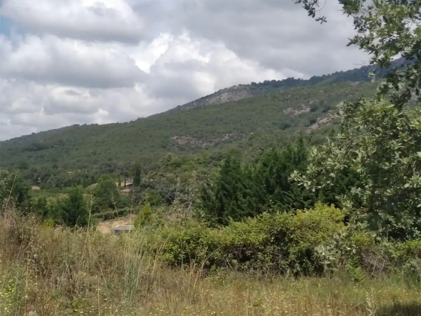 Finca rústica en venda en Talaveruela de la Vera