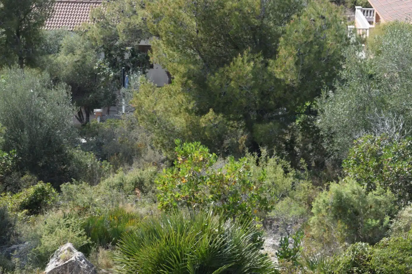 Terreny rústic en venda a SANTA MARIA DE MONTSERRAT 117, imagen 11