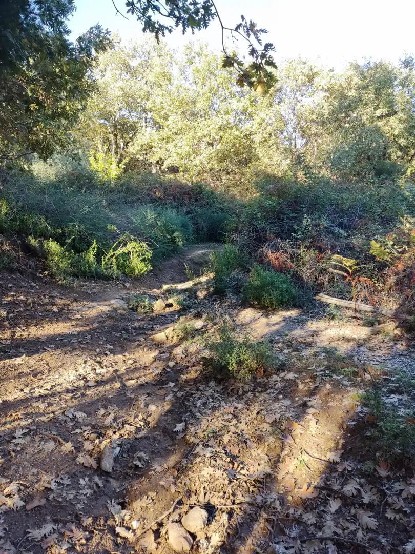 Terreni e lotti in vendita a Avenida de la Vera 17, imagen 48
