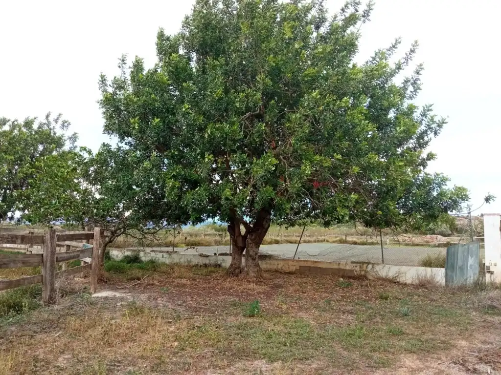 Residencial en venta en Llíria, Santa Bárbara
