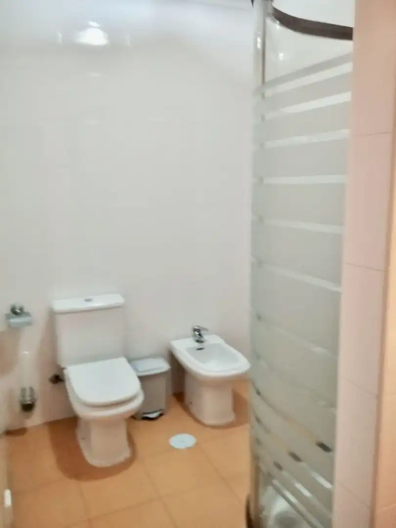 Flat to rent in Anibal Gonzalez, imagen 23