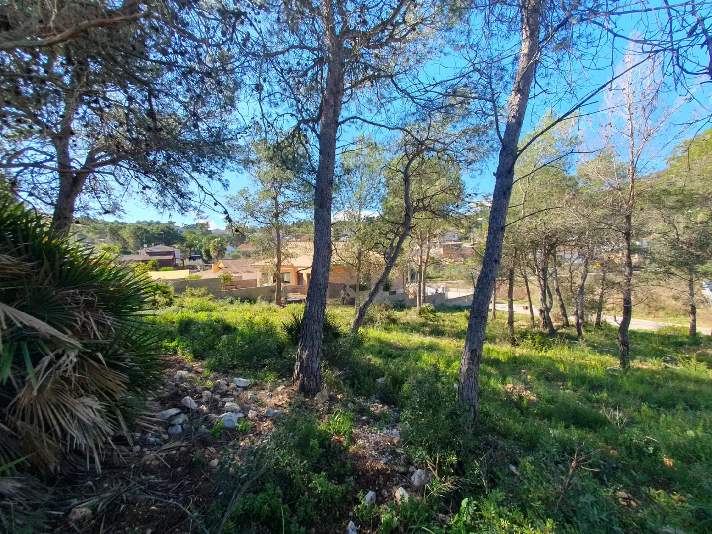 Terreno residencial en venta en Carrer de Vilanova, imagen 5