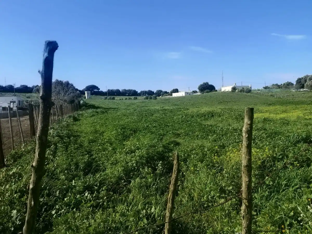 Rural land for sale in La Muela