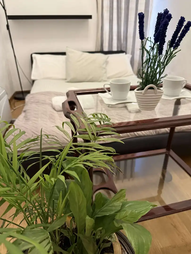 Bedroom of Apartments for share in Madrid  with Air Conditioner, Heating and Terrace