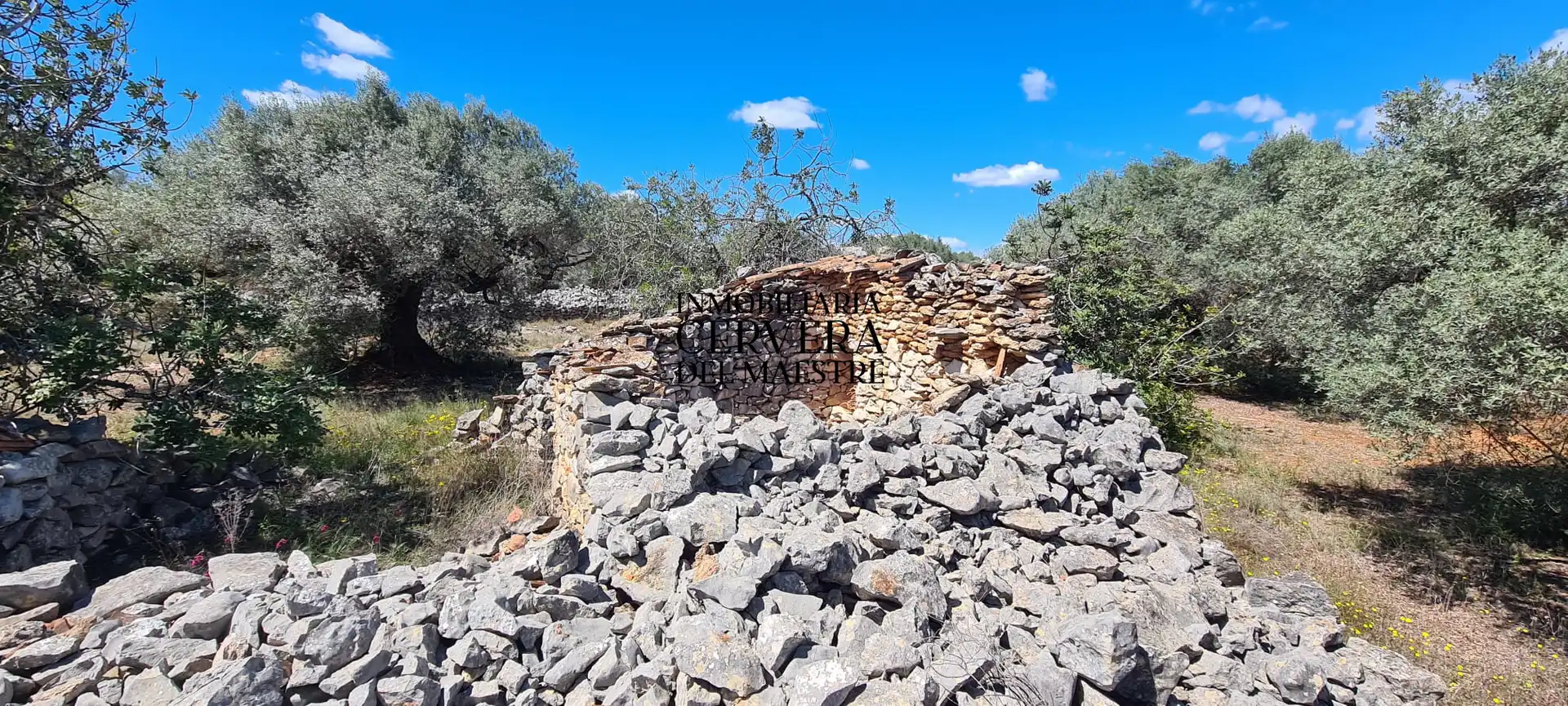 Terreno rustico in vendita a Cervera del Maestre, imagen 6