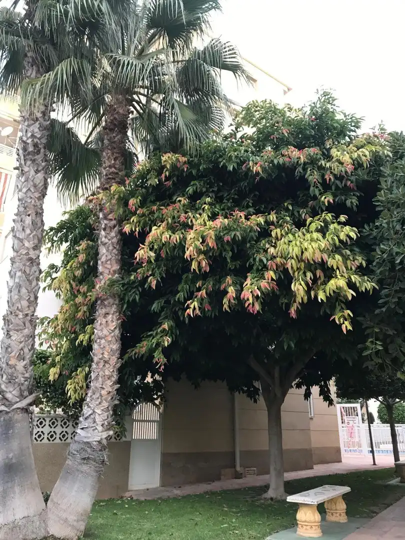 Exterior view of Apartments for sale in Cuenca  with Air Conditioner, Terrace and Furnished