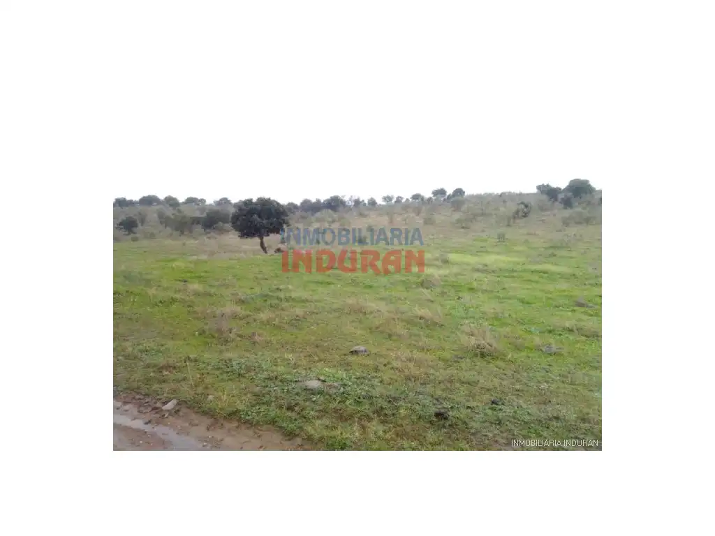 Casa en venda a Villar del Pedroso, imagen 2