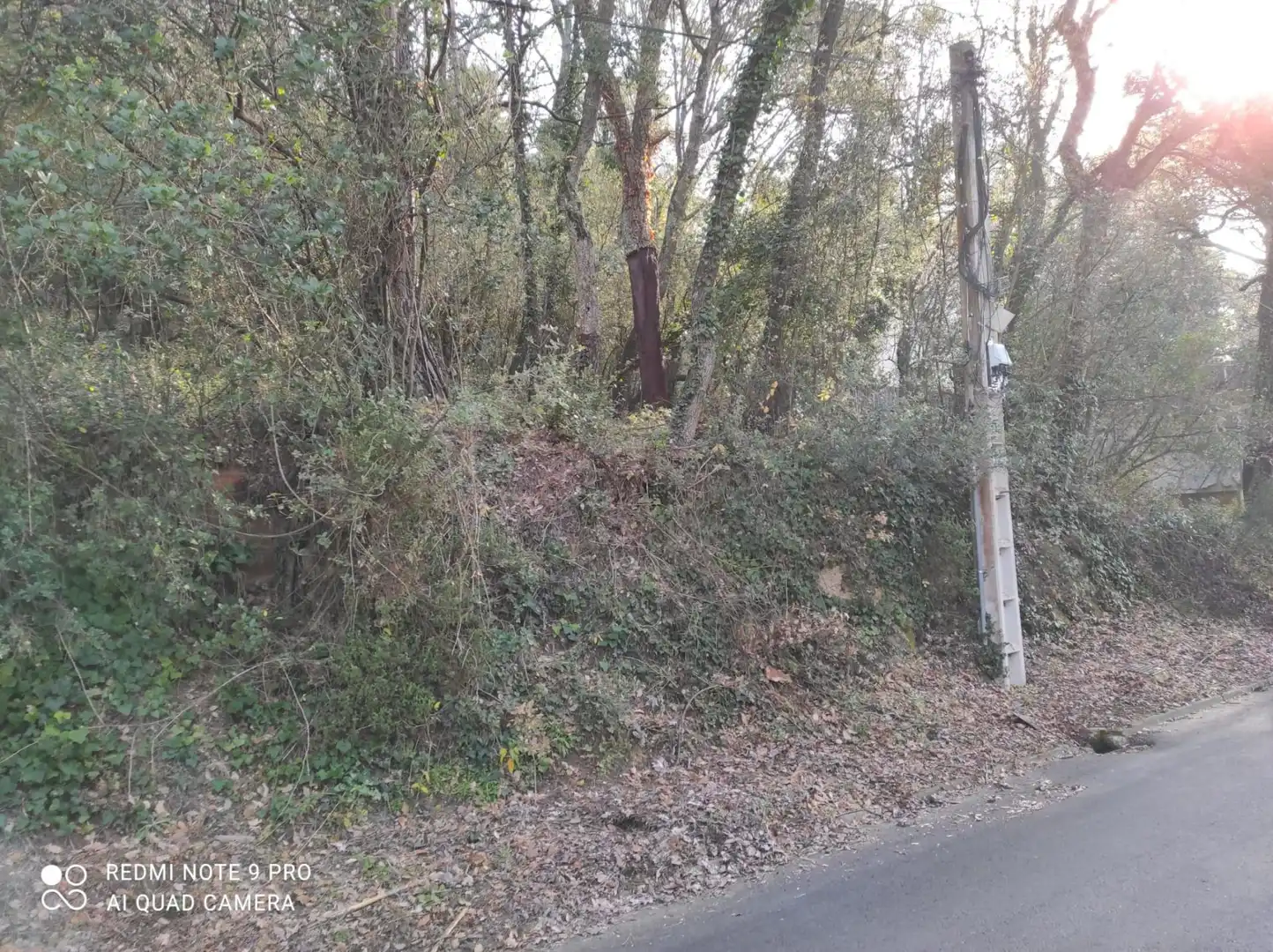 Terrenos y solares en venta en Vallgorguina, imagen 10