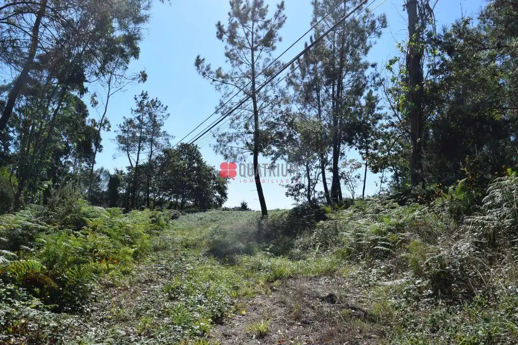 Terreni e lotti in vendita a Lugar Queiroal, imagen 9