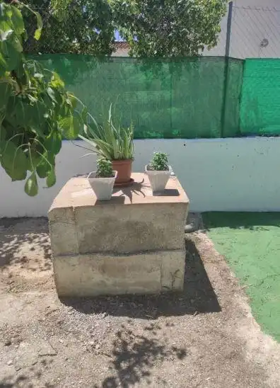 Jardí de Casa o xalet en venda en Jaén