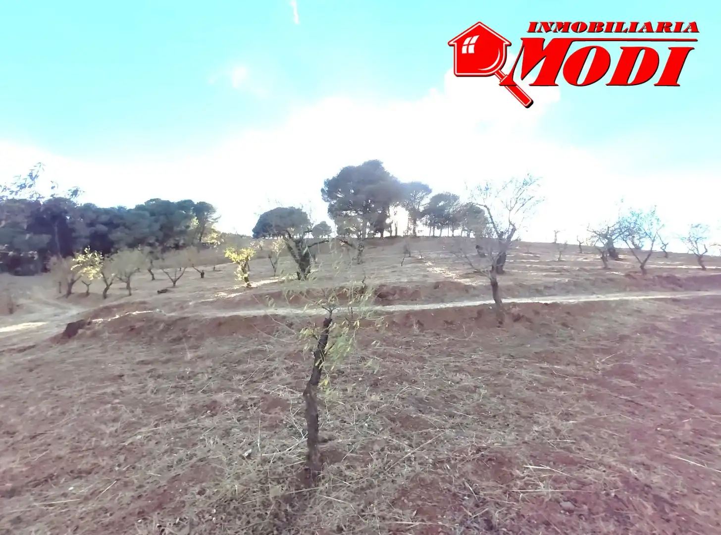 Finca rústica en venda en Villamena amb Jardí privat