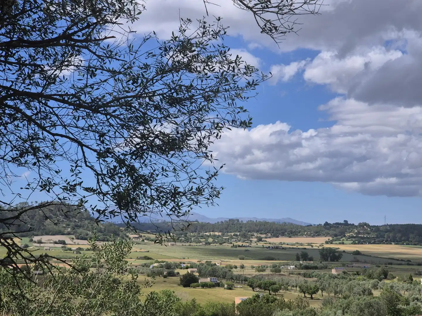 Casa rústica con jardín en venta en Sineu, imagen 17