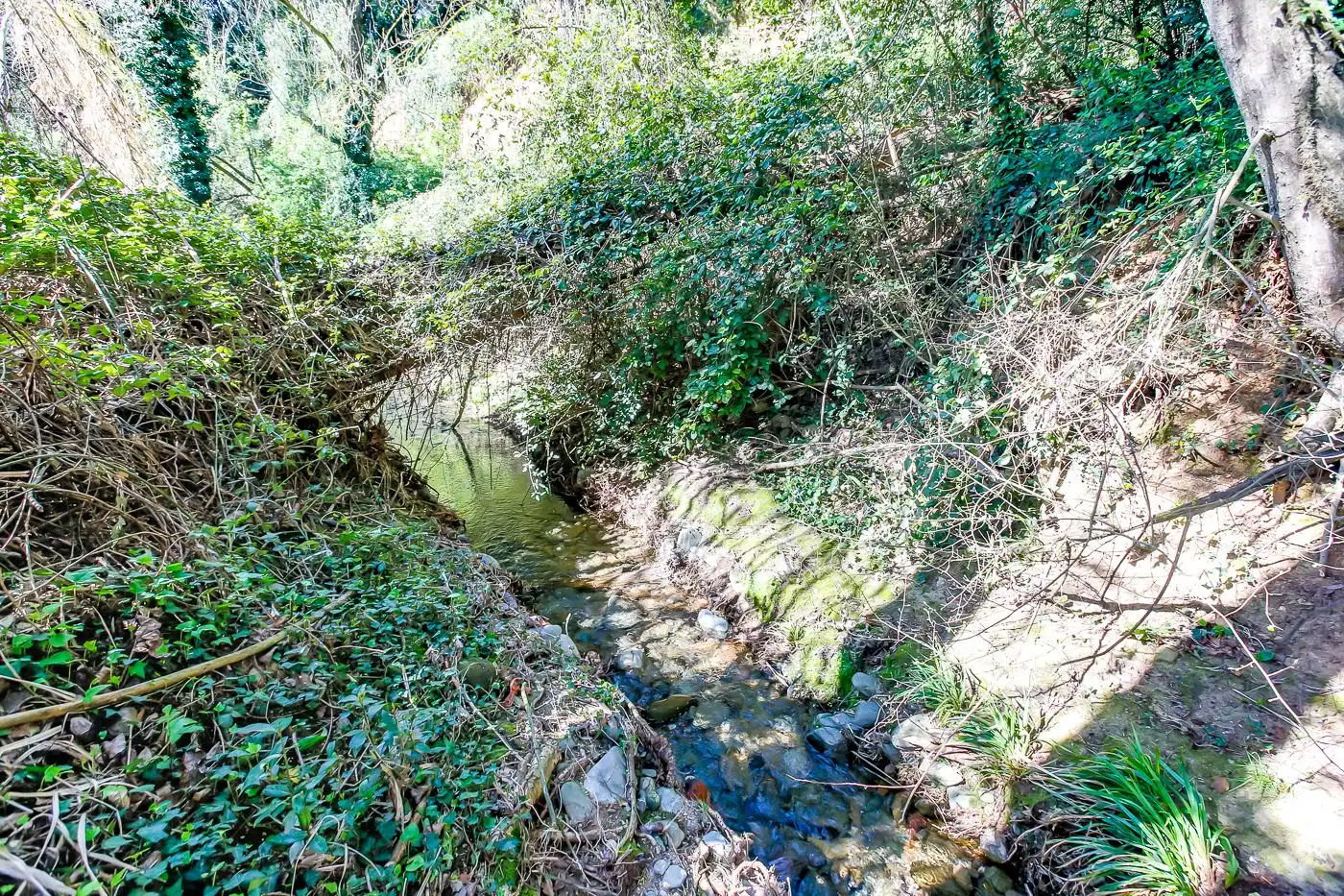 Finca rústica en venta en Sant Antoni de Vilamajor