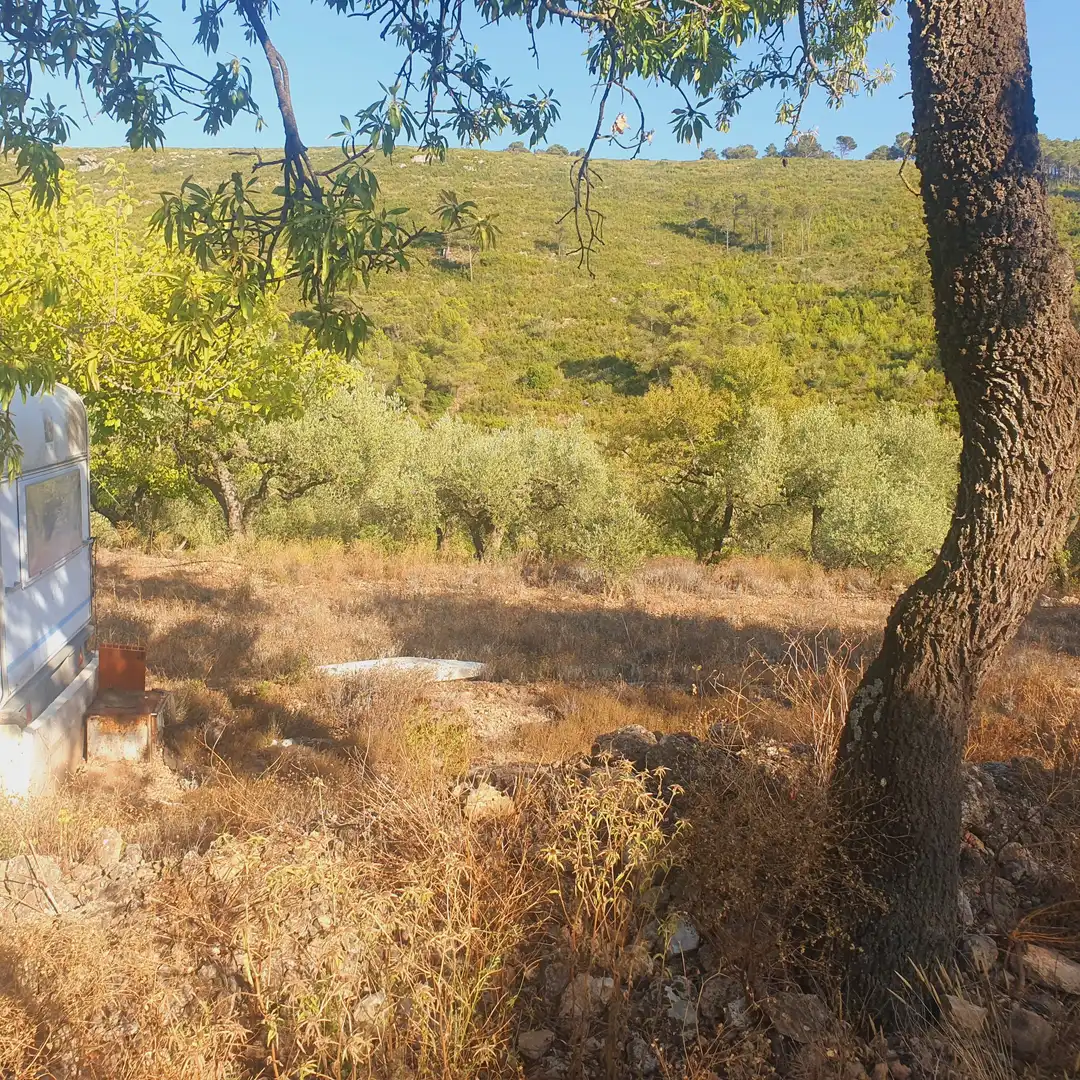 Terrain rustique à vendre à Rasquera, imagen 6