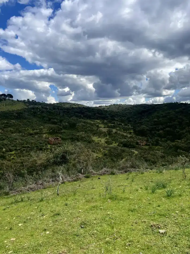Finca rústica en venda en Berrocal amb Jardí privat, Traster i Piscina