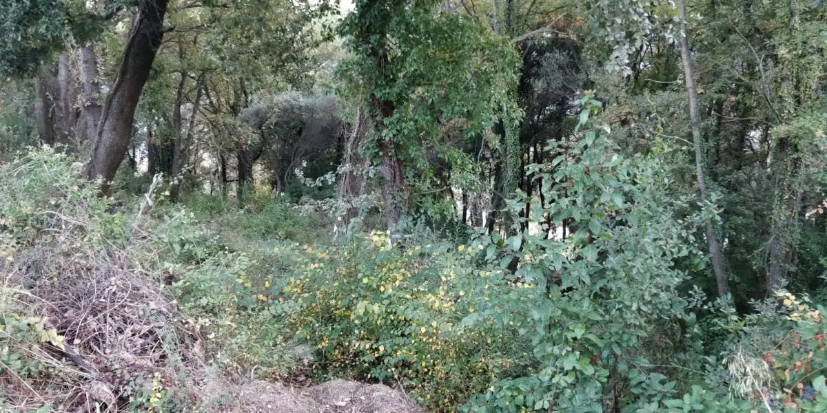 Terrenys i solars en venda a Porqueres, imagen 7
