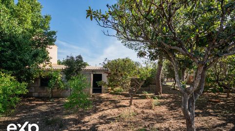 CASA EN CAMPANET, imagen 5