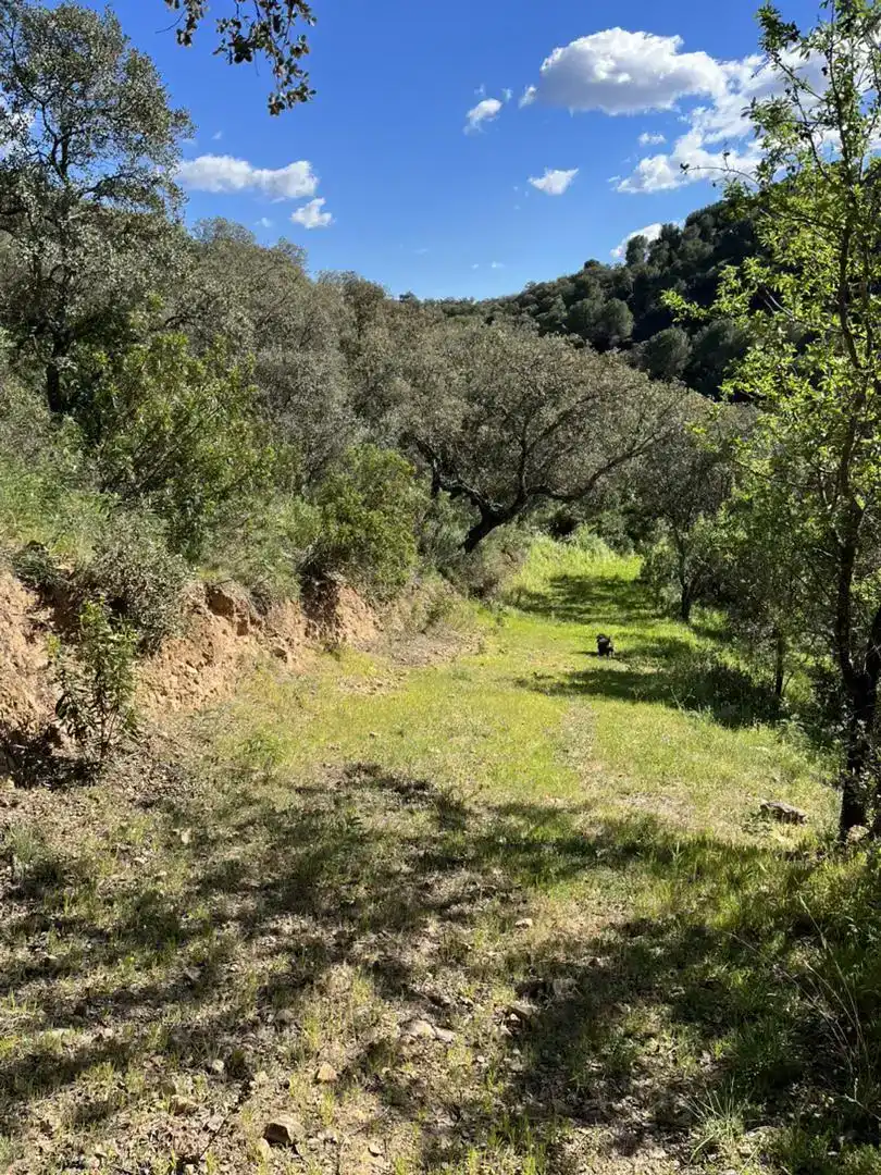 Finca rústica en venda en Pozoblanco amb Jardí privat, Piscina i Balcó